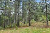 13824 Baker Road - Photo 39