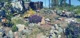 7203 Amador Court - Photo 1