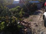7203 Amador Court - Photo 6