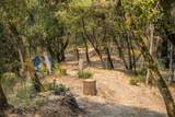 2095 Wild Goose Canyon Road - Photo 11