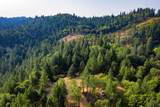 2095 Wild Goose Canyon Road - Photo 18