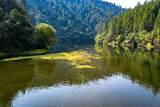 2095 Wild Goose Canyon Road - Photo 4