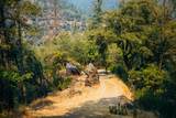 2095 Wild Goose Canyon Road - Photo 9