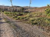 2157 Backwoods Trail - Photo 11