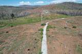 2157 Backwoods Trail - Photo 12