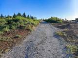 2157 Backwoods Trail - Photo 4