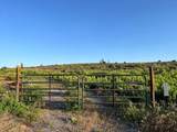 2157 Backwoods Trail - Photo 8