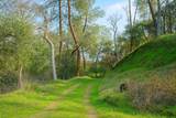 6550 Jackson Valley Road - Photo 4