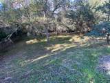 119 Flat Rock Drive - Photo 3