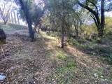 119 Flat Rock Drive - Photo 9