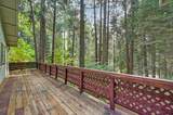 3204 Gold Ridge Trail - Photo 39