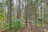 3204 Gold Ridge Trail - Photo 41