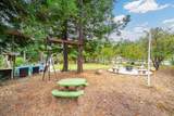 1365 Shadow Rock Drive - Photo 60