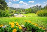 1365 Shadow Rock Drive - Photo 83