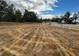 12415 Clay Station Road - Photo 29