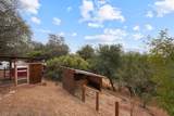 10437 Chapulin Way - Photo 13