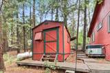 4240 Pine Forest Drive - Photo 37