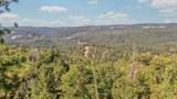 0 Old Giannini Ranch Rd - Photo 11