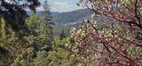 0 Old Giannini Ranch Rd - Photo 9