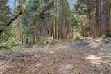 12683 Spider Hill Road - Photo 10