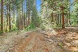 12683 Spider Hill Road - Photo 11