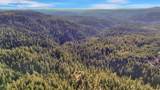 12683 Spider Hill Road - Photo 12