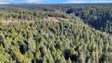 12683 Spider Hill Road - Photo 17