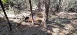 12683 Spider Hill Road - Photo 30