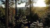 12683 Spider Hill Road - Photo 32