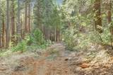 12683 Spider Hill Road - Photo 9