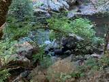 17340 Scopar Road - Photo 4