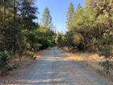 17340 Scopar Road - Photo 8