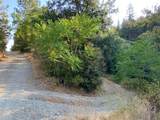 17340 Scopar Road - Photo 9
