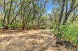 12920 Woodlake Road - Photo 96