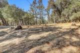 12920 Woodlake Road - Photo 99