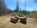 0 Nature's Way - Photo 1