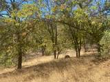 0 Nature's Way - Photo 10