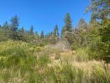 0 Nature's Way - Photo 7