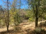 0 Nature's Way - Photo 9