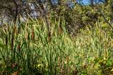 0 Chili Hill Rd - Photo 22