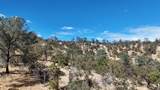 9816 Deer Hollow Trail - Photo 10