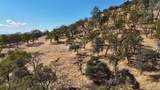 9816 Deer Hollow Trail - Photo 11
