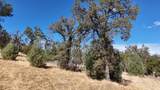 9816 Deer Hollow Trail - Photo 14
