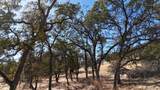 9816 Deer Hollow Trail - Photo 16