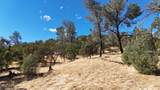 9816 Deer Hollow Trail - Photo 20