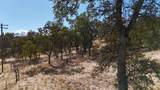 9816 Deer Hollow Trail - Photo 22