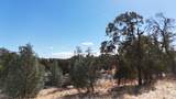 9816 Deer Hollow Trail - Photo 24