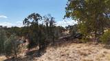 9816 Deer Hollow Trail - Photo 28