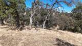 9816 Deer Hollow Trail - Photo 3