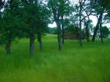 9816 Deer Hollow Trail - Photo 36